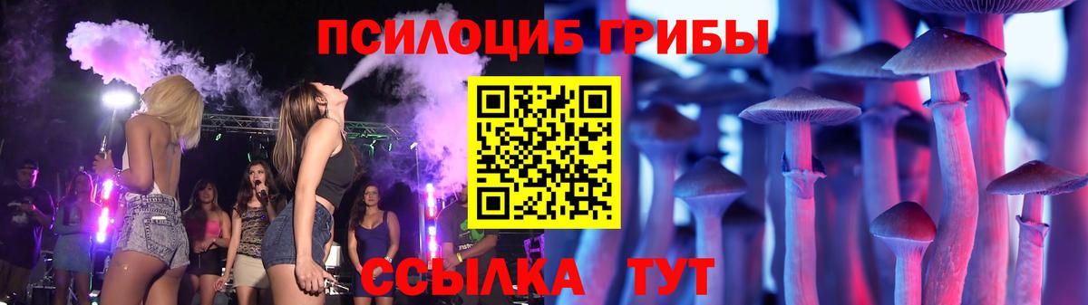Саяногорск  Псилоцибиновые грибы Psilocybine cubensis  Вход с VPN 