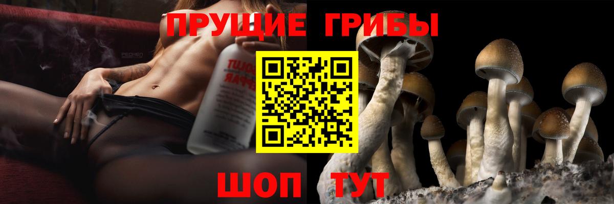 Галлюциногенные грибы Cubensis Саяногорск